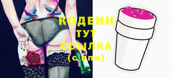 дурь Арсеньев