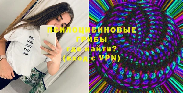 дурь Арсеньев