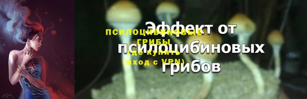 дурь Арсеньев