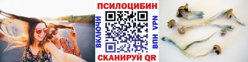 Галлюциногенные грибы MAGIC MUSHROOMS  кракен   Саки 